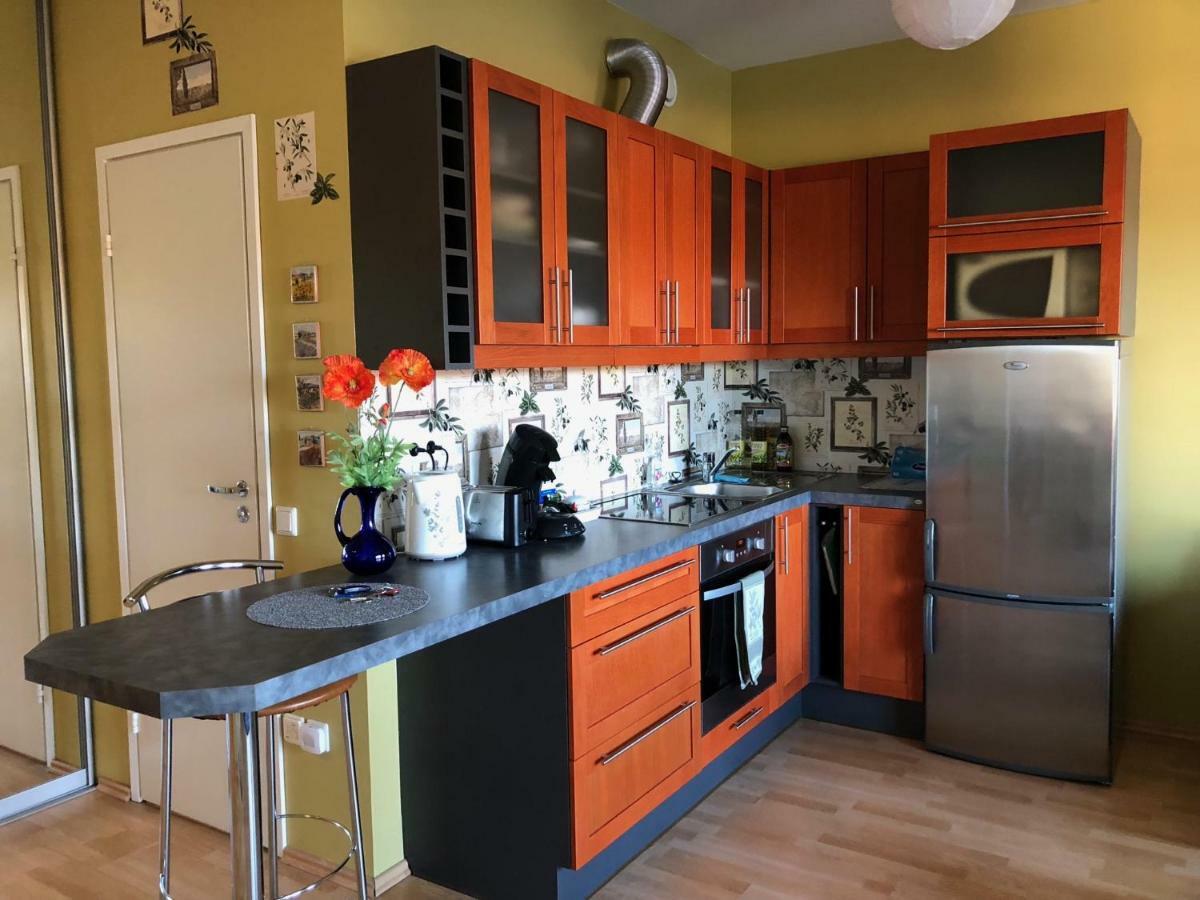 Apartment Near Centre Тарту Екстер'єр фото