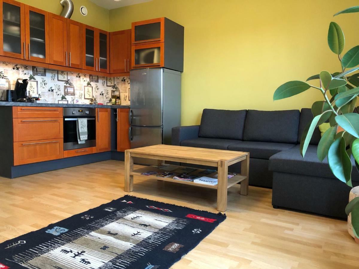 Apartment Near Centre Тарту Екстер'єр фото
